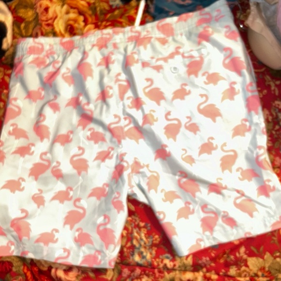 Elysian Flamingo Swimtrunks - Picture 3 of 7